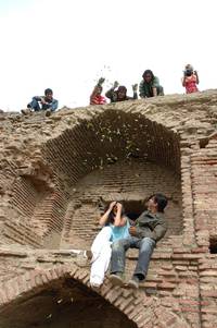 Кадр Цвет шафрана