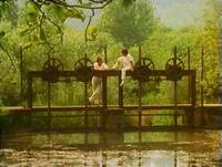 Кадр Аромат кукурузы