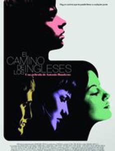 Летний дождь