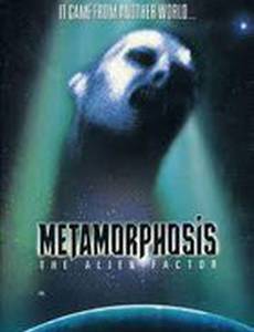 Метаморфозы: Фактор чужого