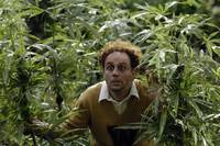 Кадр Сумасшествие вокруг марихуаны: Киномюзикл
