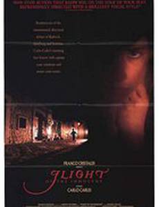 Побег невиновного