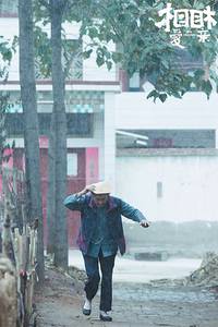 Кадр Любовное образование