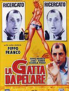 La gatta da pelare