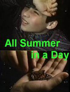 Всё лето в один день