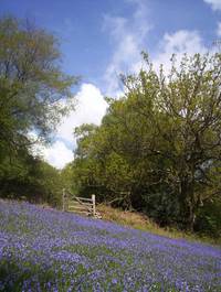 Кадр Tales from the Green Valley