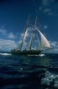 Кадр Возвращение в Голубую лагуну