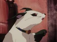 Кадр Принцесса-шаман (видео)