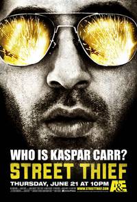 Постер Уличный вор