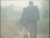 Кадр Спящий лес