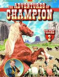 The Adventures of Champion