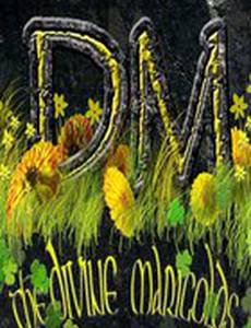 The Divine Marigolds