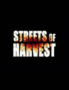 Streets of Harvest