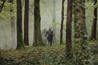 Кадр Мерлин