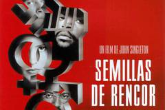 Высшее образование