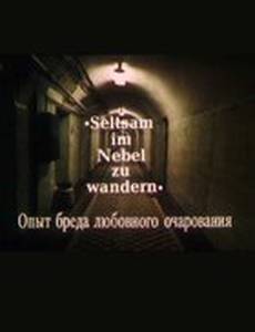 Опыт бреда любовного очарования