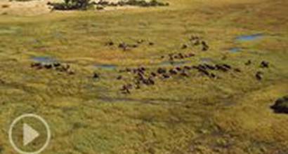 ТВ-ролик №1