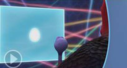 Фрагмент №9