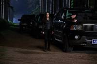 Кадр Академия вампиров