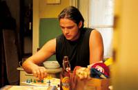 Кадр Красный какаду