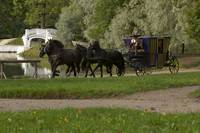 Кадр Три мушкетера