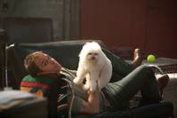 Кадр Семь психопатов