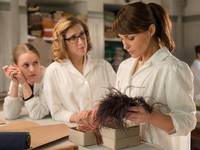 Кадр Галерея Вельвет