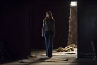 Кадр Колония Дигнидад