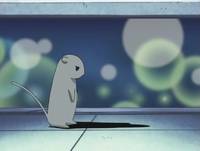 Кадр Корзинка фруктов