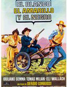 Белый, желтый, черный