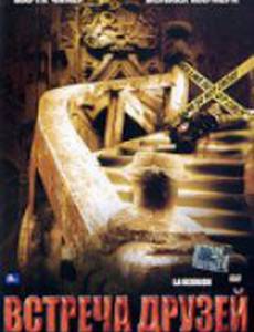 Встреча друзей