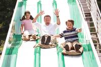 Кадр Старые псы