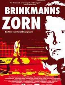 Brinkmanns Zorn