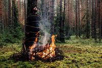 Кадр Монах и бес