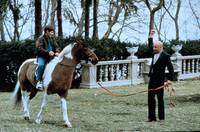 Кадр Музыкальная шкатулка