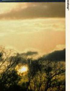 Размышление