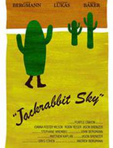 Jackrabbit Sky