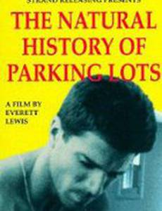 История о парковочных местах