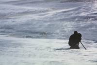 Кадр Россия — царство тигров, медведей и вулканов