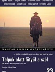 Ветер свистит под ногами