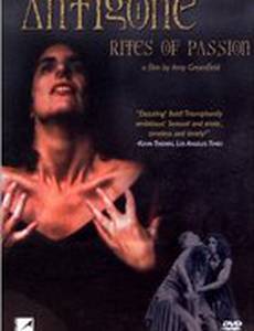 Антигона: Ритуалы страсти