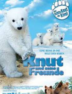 Кнут и его друзья