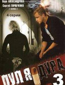 Пуля-дура 3: Агент для наследницы (мини-сериал)