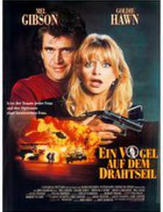 Птичка на проводе