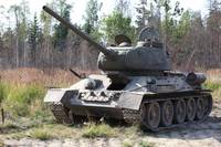 Кадр Белый тигр