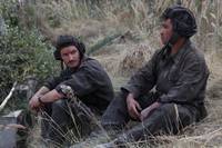 Кадр Белый тигр