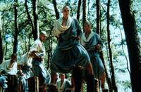 Кадр Американский Шаолинь