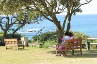 Кадр Таинственный сад