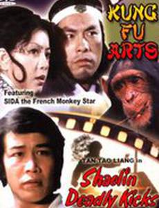 Смертельные удары Шаолиня