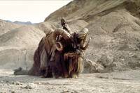 Кадр Звездные войны: Эпизод 4 – Новая надежда